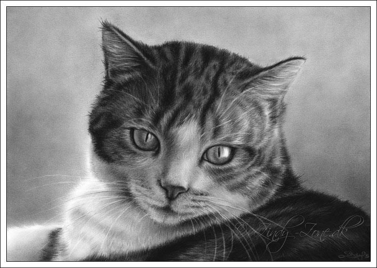 Cute Grey Cat Drawing Original Artwork