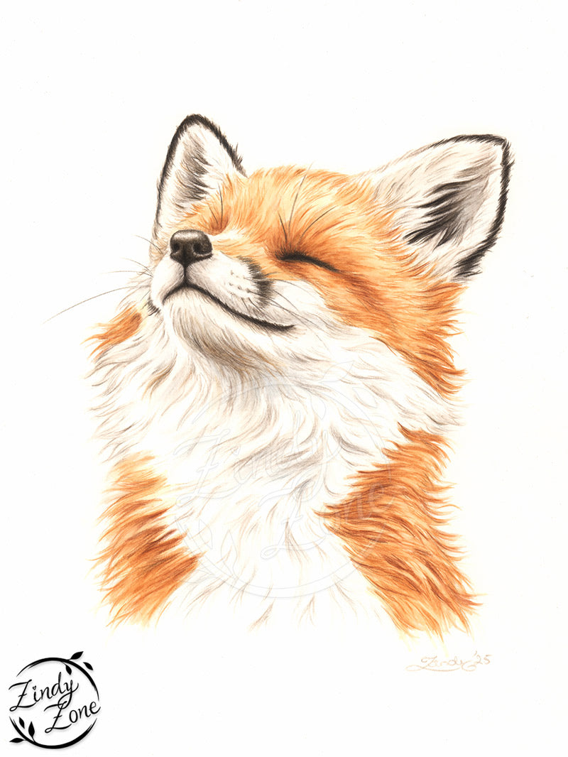 Happy Fox Art Print