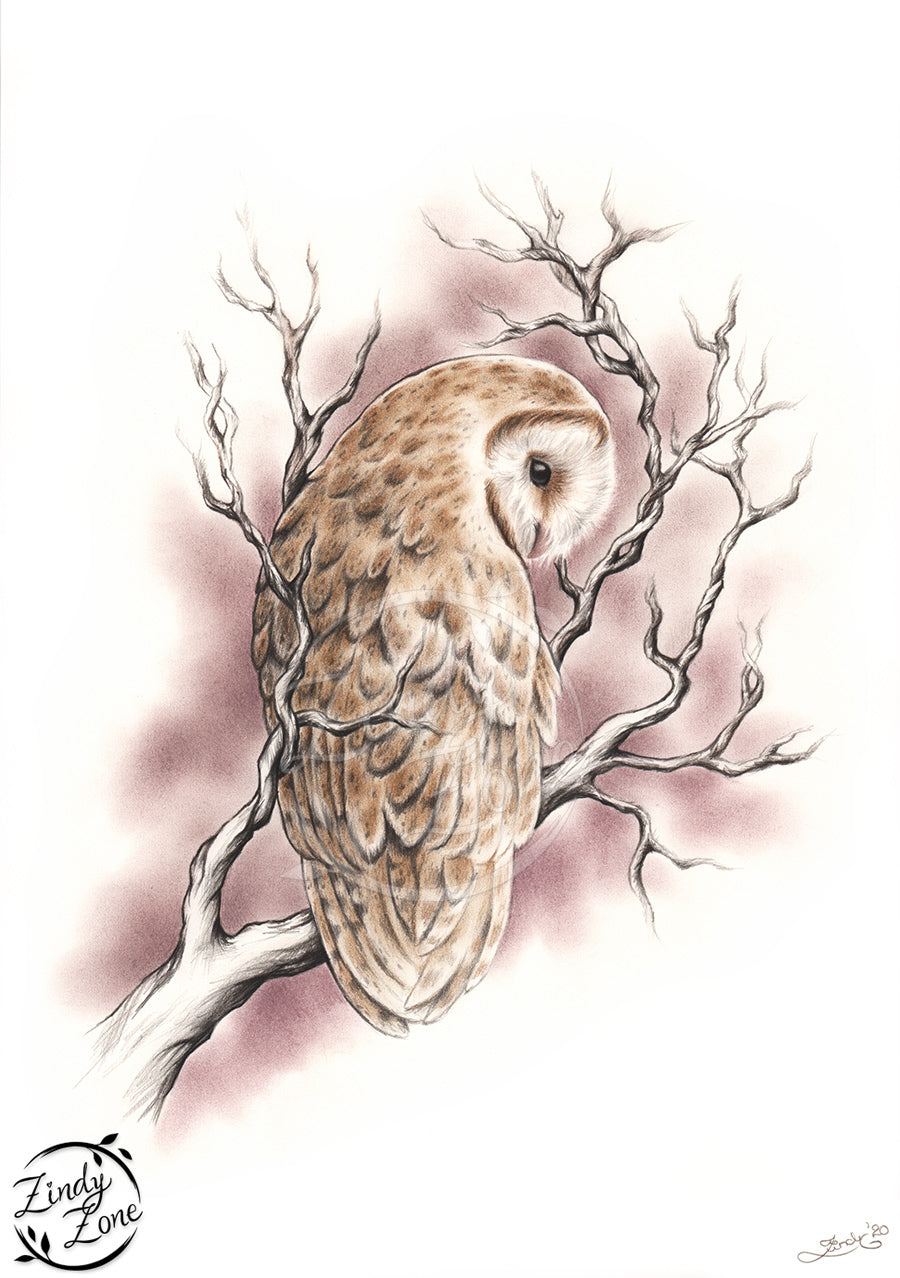 The branch and the owl Art Print