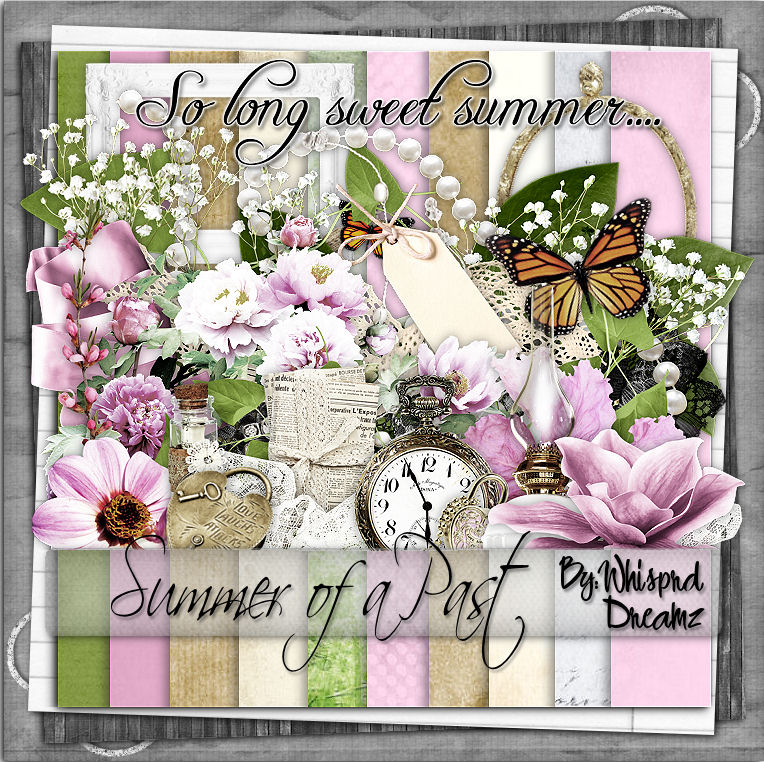 Summer of the past Scrap Kit