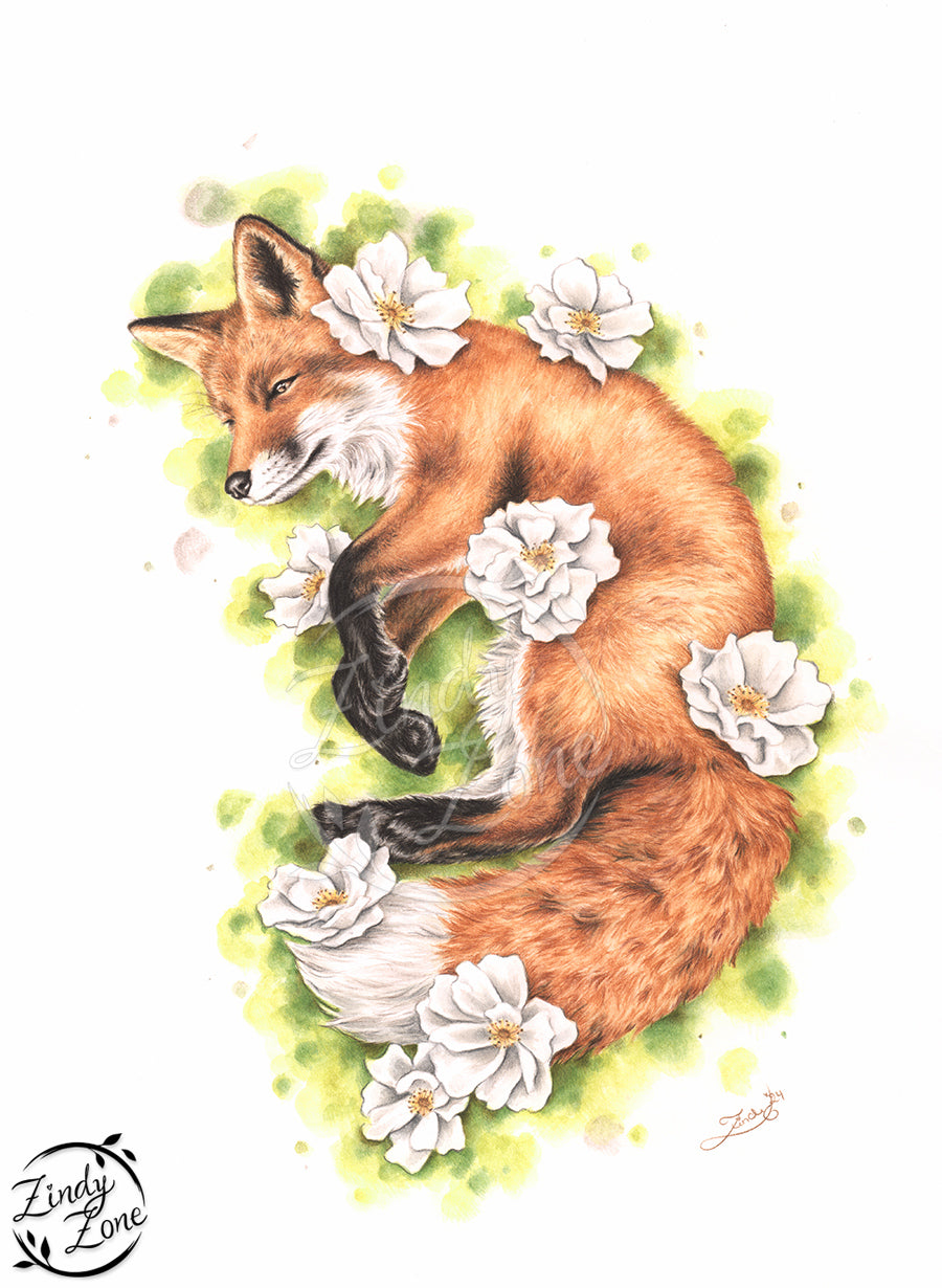 Where the fox rests Grayscale Coloring Page