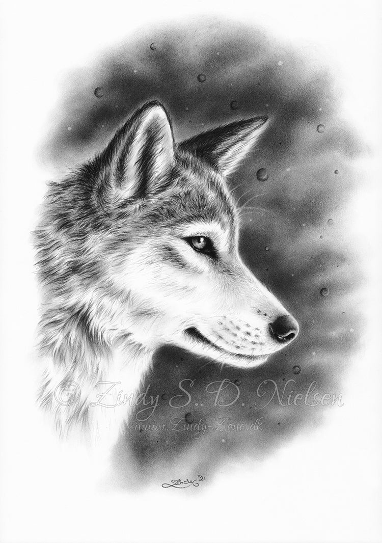 Wolf Dreamer Drawing Original Artwork