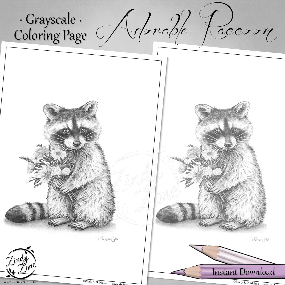 Adorable Raccoon Grayscale Coloring Page
