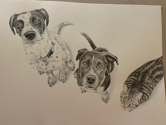 Brads Drawing