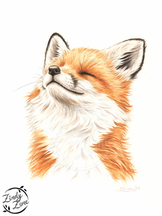 Happy Fox Art Print
