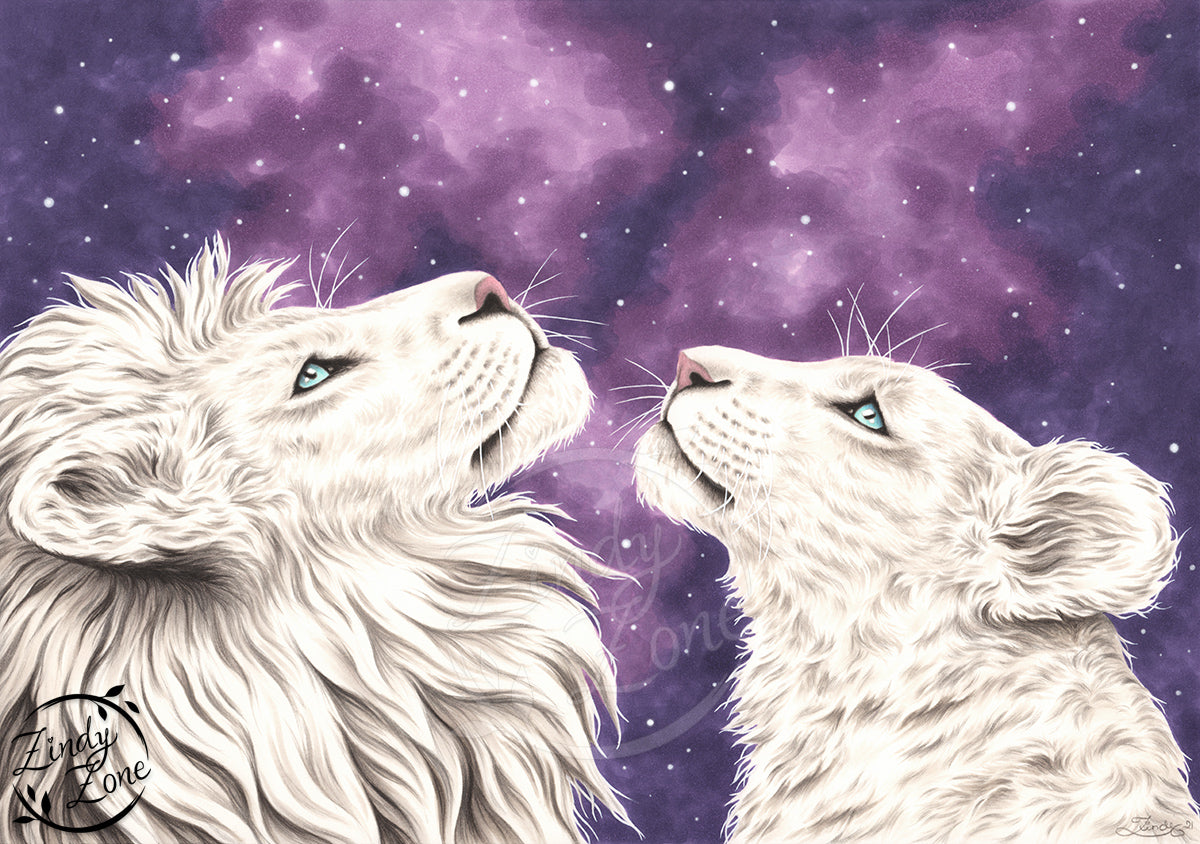 Stargazers White Lions Art Print