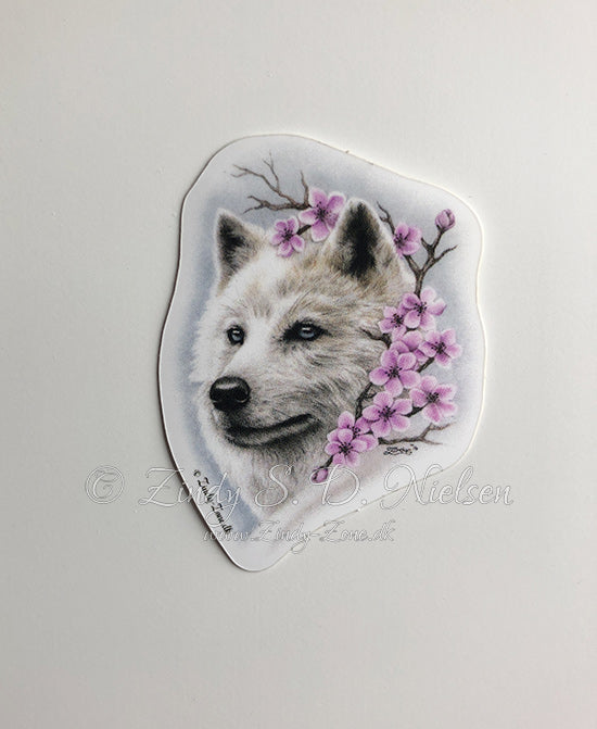 Cherry Blossom Wolf Sticker