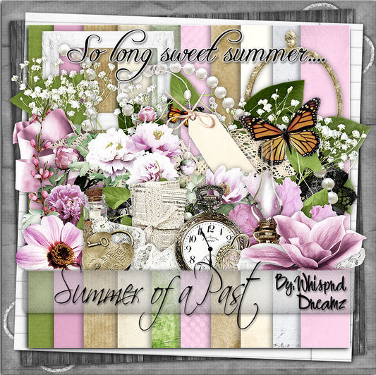 Summer of the past Scrap Kit